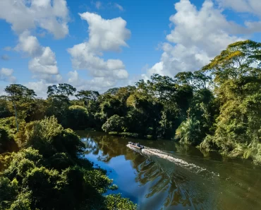 Descubra tudo sobre a beleza selvagem do Pantanal: o destino ideal para amantes da natureza.