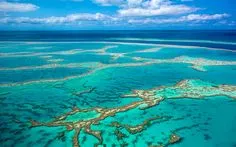 O maior recife de corais do mundo é a Grande Barreira de Corais, localizada na Austrália. Ela se estende por mais de 2.300 quilômetros e é composta por mais de 2.900 recifes individuais.